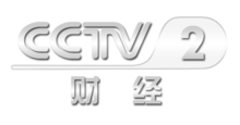 正式更换透明字形"cctv-2"台标,宣传片开始使用文字式双线cctv台标