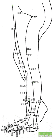 仆参