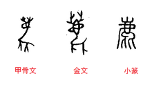 ynj(86版 oxxv(98版)部首笔划:11鹿隶书-小篆-金文-甲骨文-骨刻文