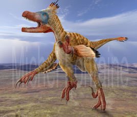 瓦尔盗龙(恐龙)瓦尔盗龙(学名variraptor)是兽脚亚目手盗龙类驰龙科的