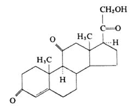 类固醇激素