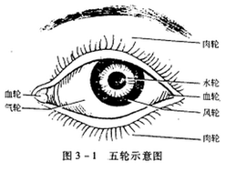 五轮学说