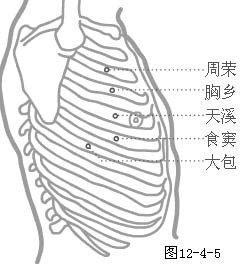 肋间隙