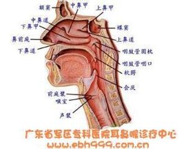 鼻粘膜糜烂