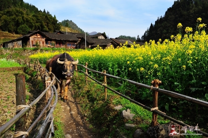 绥阳县