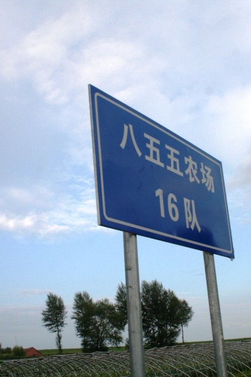 八五五农场16连