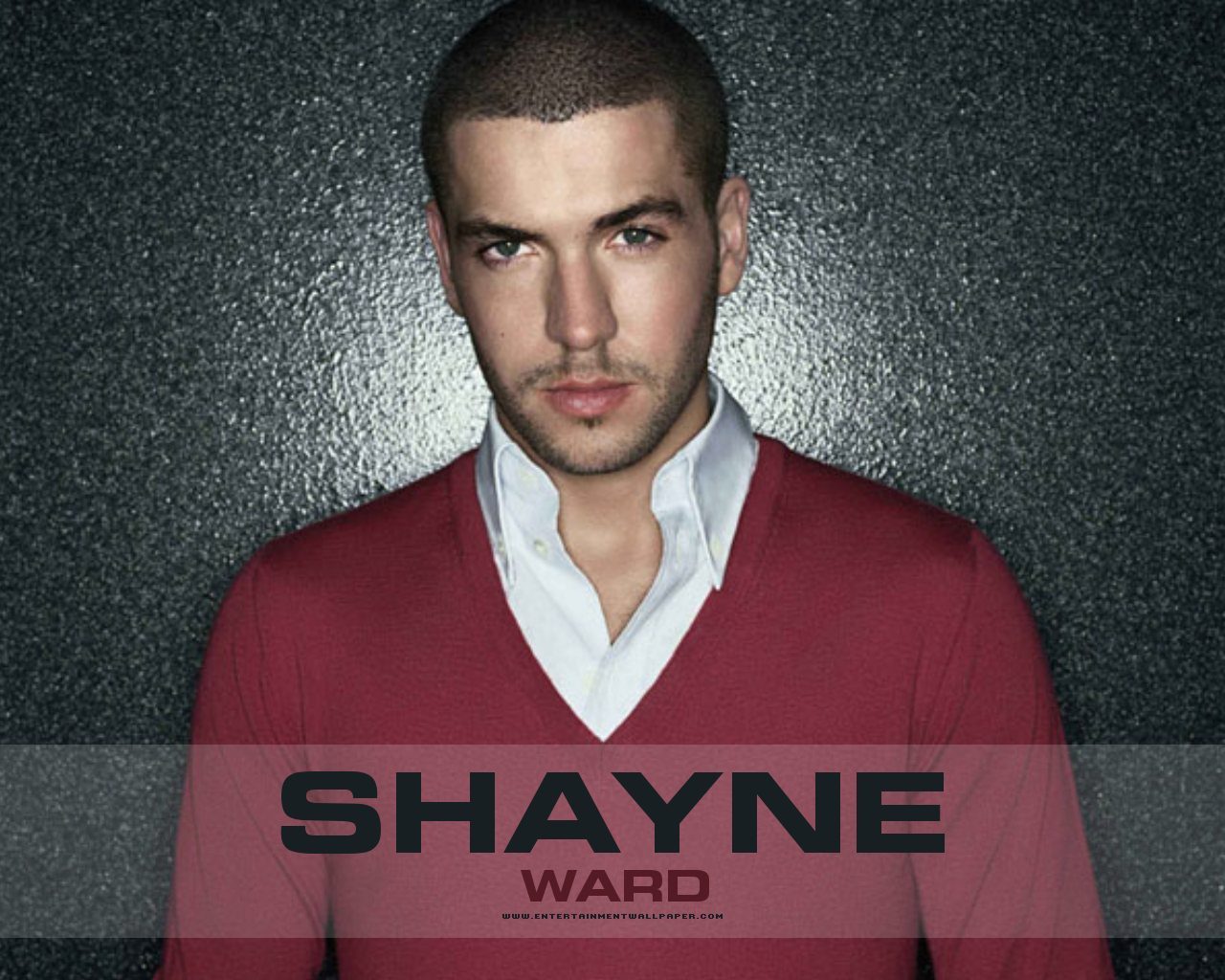 shayne ward