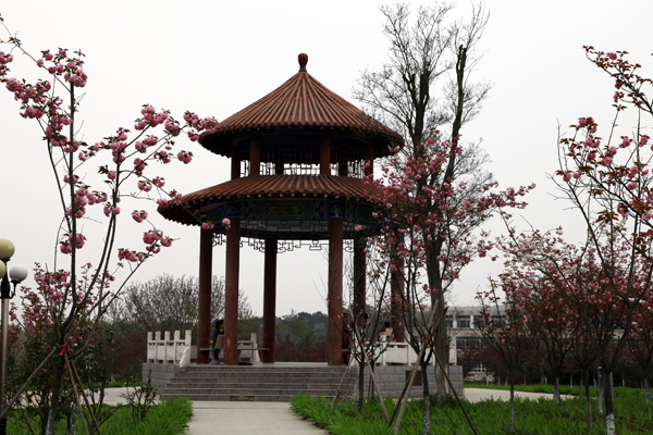 信阳师范学院