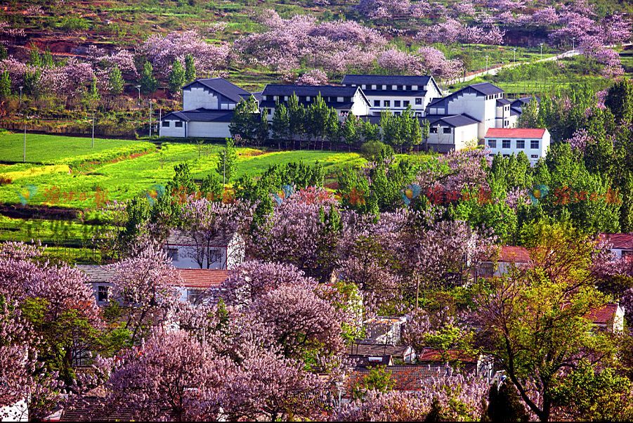 南山村隶属淮北市杜集区矿山集街道办事处,位于矿山集街道办事处最