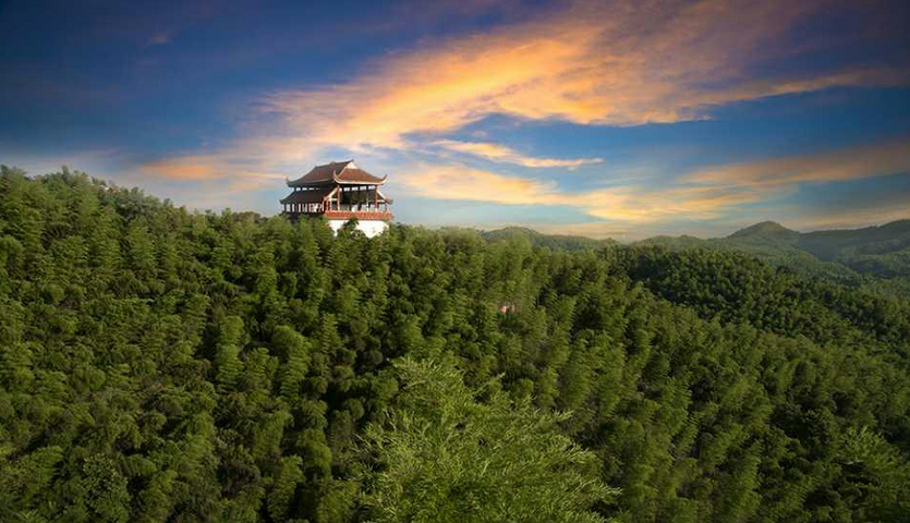 洪山竹海:位于县城东郊的猴栗岭,是一个3400公顷竹林连片的茫茫竹海.