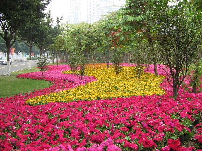 据史料记载,芳村花地作为千年花乡,花草种植业发展到明清时代非常