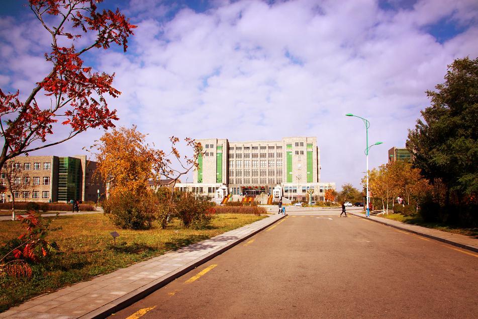 沈阳工学院