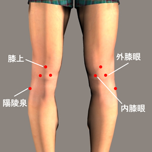 功能作用:清刷膝关穴节中的脾土微粒,保证膝关穴节的伸缩自如.