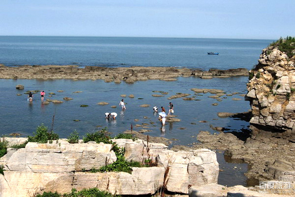 长兴岛(大连长兴岛)_360百科