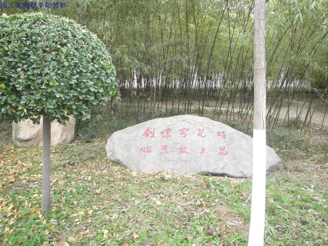 西北工业大学