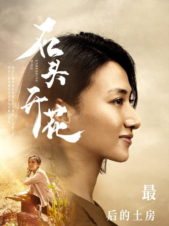 石头开花 - 2020年余淳,张多福,李少红等执导的电视剧