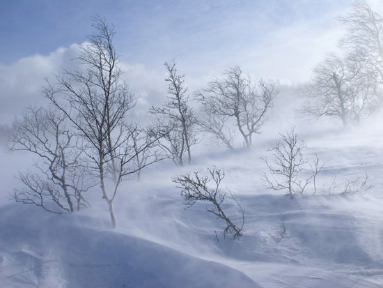 雪暴 自然现象