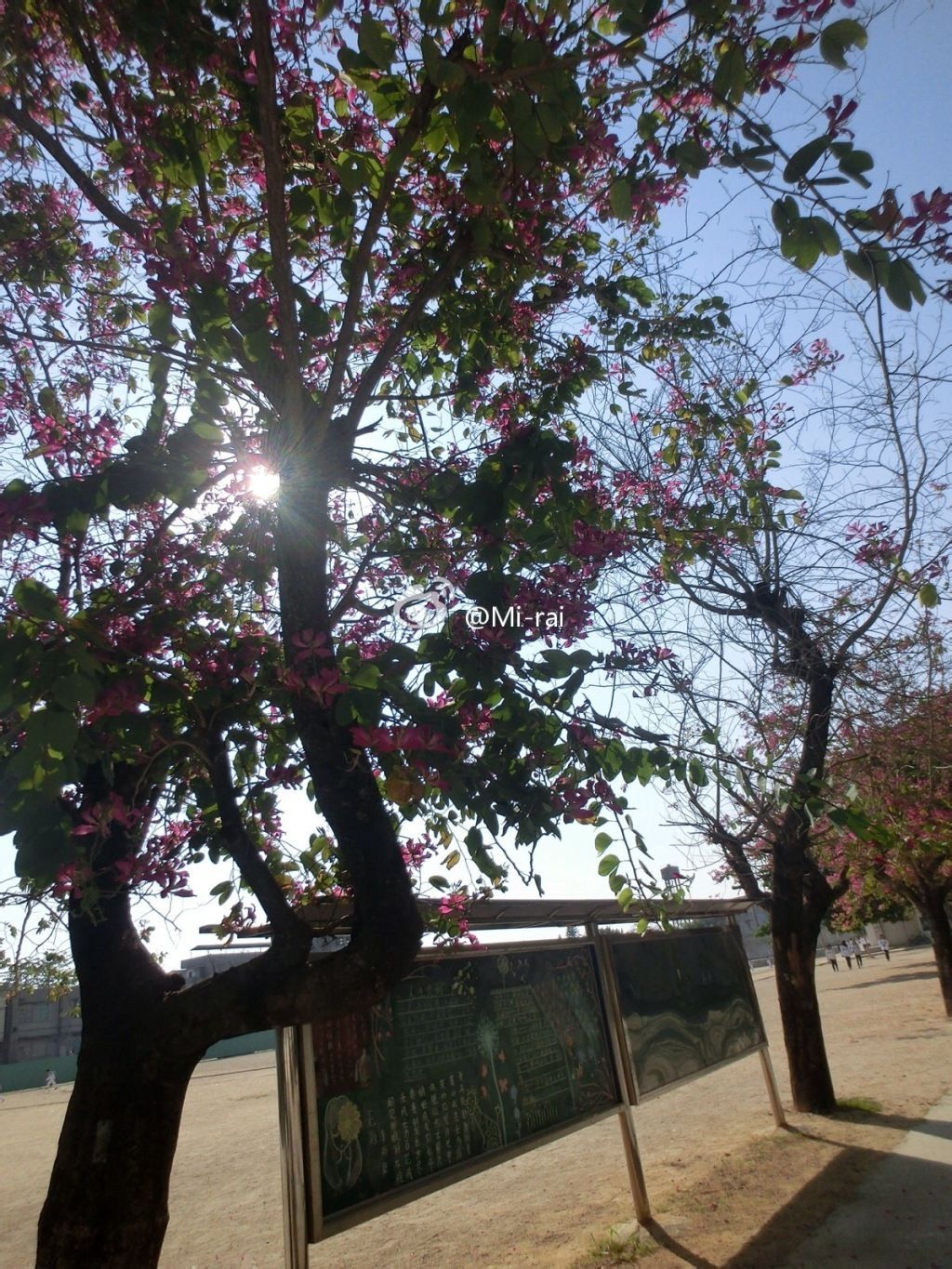 饶平县黄冈河南学校