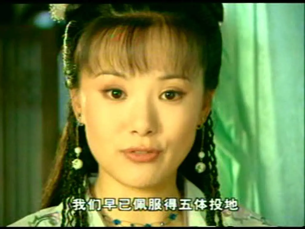 浪迹天涯2002年吴若甫李小冉主演电视剧