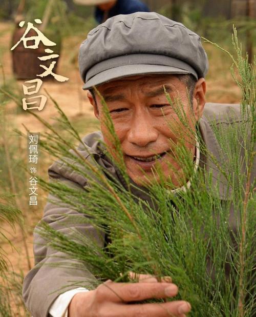 东山解放了,谷文昌服从组织安排留在了东山工作.
