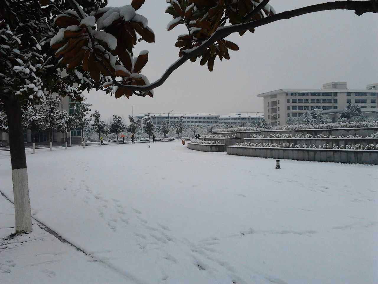 皖西学院