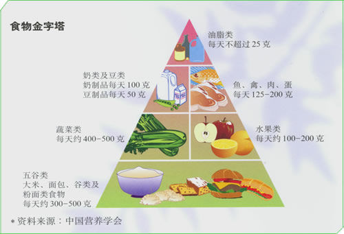 食物金字塔