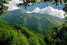 西和县