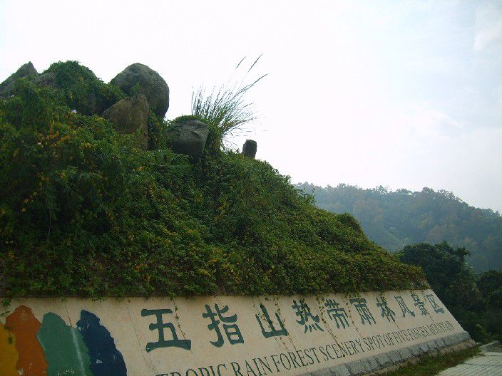 我爱五指山,我爱万泉河