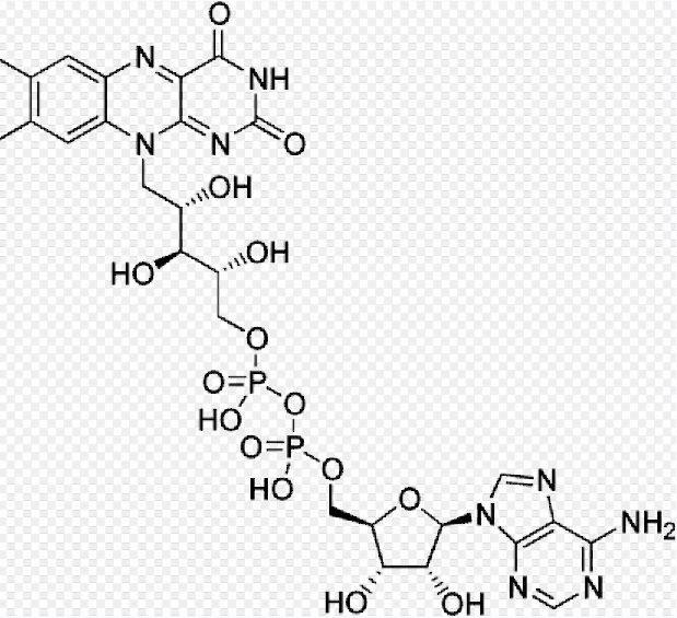 黄素腺嘌呤二核苷酸(生物化学 名词)