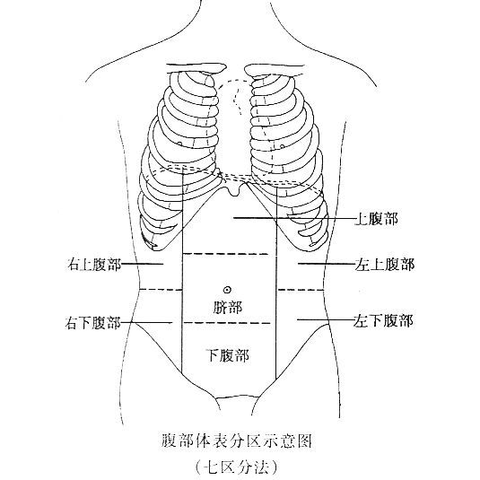 计为:左上腹部,左下腹部,上腹部,脐部,下腹部,右上腹部,右下腹部.