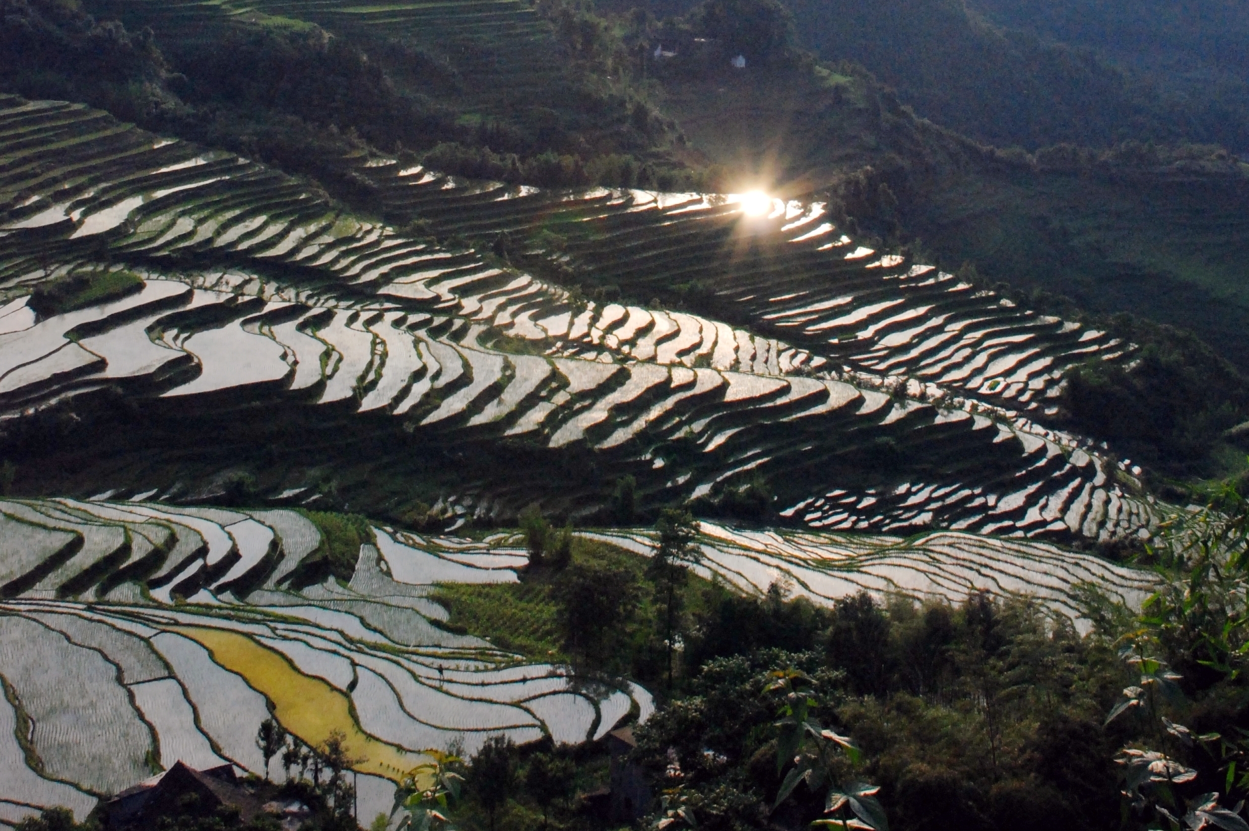 高坎梯田