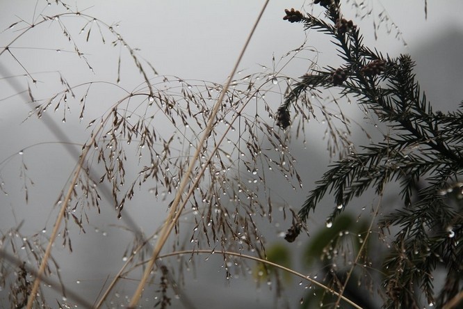 正在下毛毛雨哪