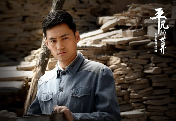 平凡的世界 2015年王雷,佟丽娅,袁弘主演的电视剧