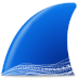 Wireshark