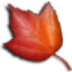 Maple