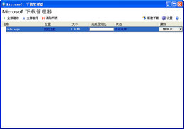 Microsoft下载管理器