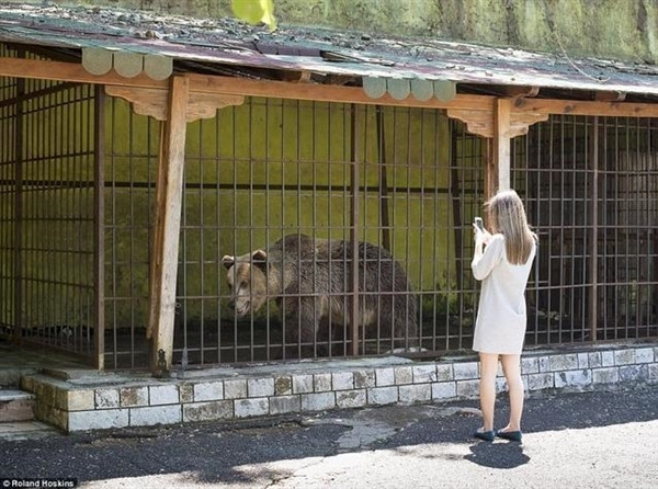 The giant bear cage touting: poke eyes bite self mutilation
