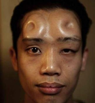 贝果头 360百科
