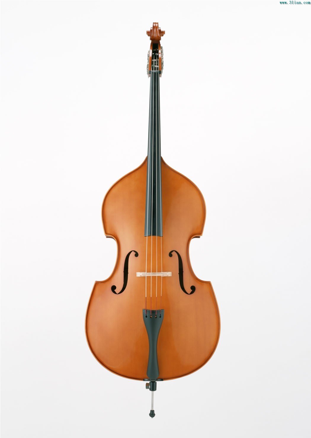 低音提琴 360百科