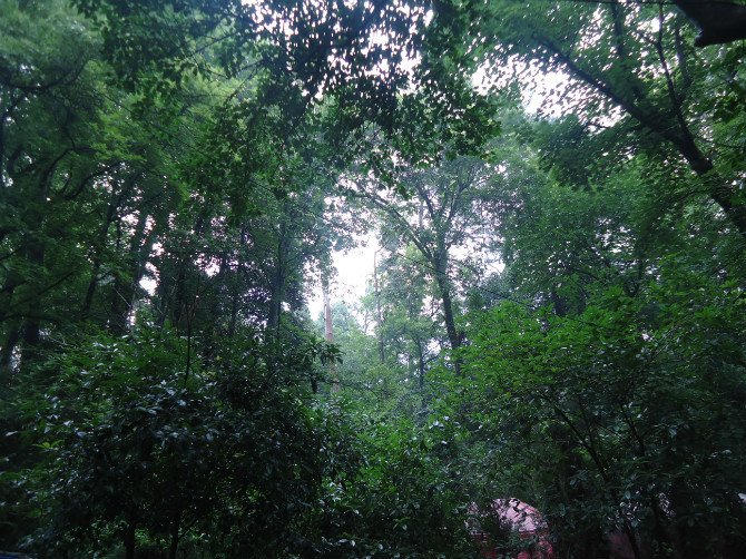 密林 360百科 密林 360百科