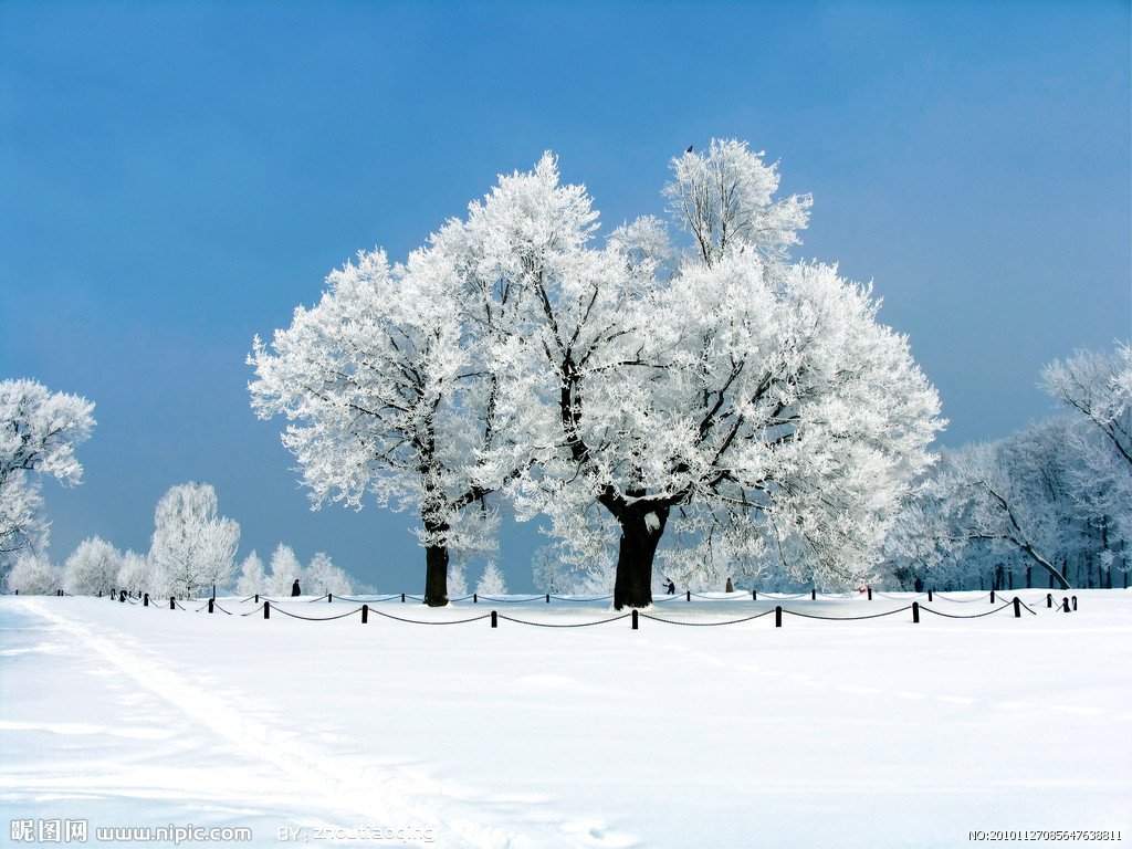 雪景 360百科