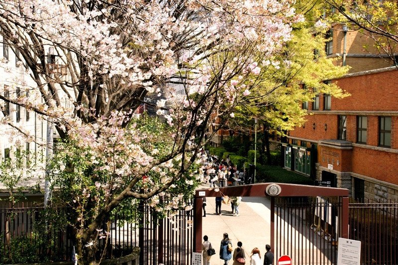 上智大学 360百科