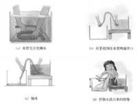 虹吸现象 虹吸现象