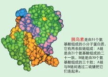 可的松_360百科