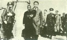 汪精卫视察清乡 汪精卫视察清乡