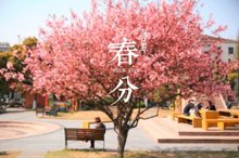 生气盎然