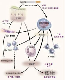 磷酸二酯酶抑制剂_360百科