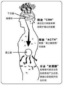 双重性格的诱因是什么