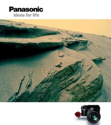 恒河沙数大略是多少