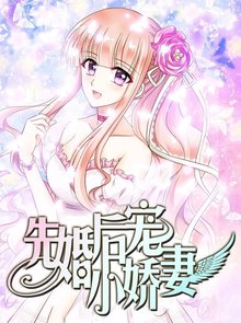 先婚后宠小娇妻